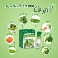 COMBO X2 Hộp Bột Rau Củ Xanh Detox KENKO AOJIRU Tự Nhiên Nguyên Chất 20 Gói
