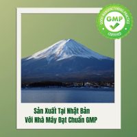 Gel Giảm Đau Cấp Tốc Wakan