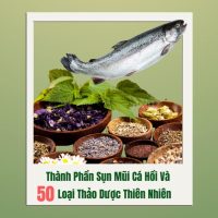 Gel Giảm Đau Cấp Tốc Wakan